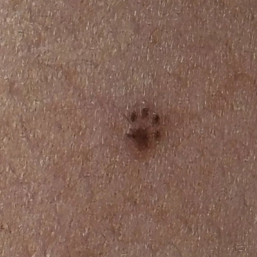 부모님한테 절대 안들키는 타투.jpg