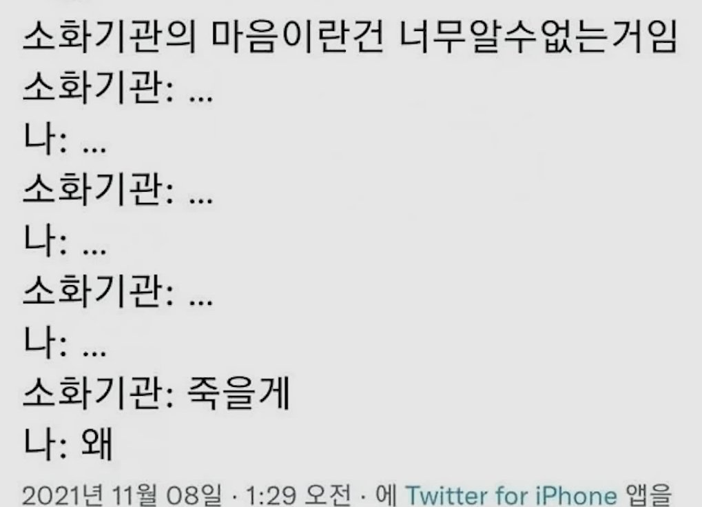 알수 없는 소화기관의 마음