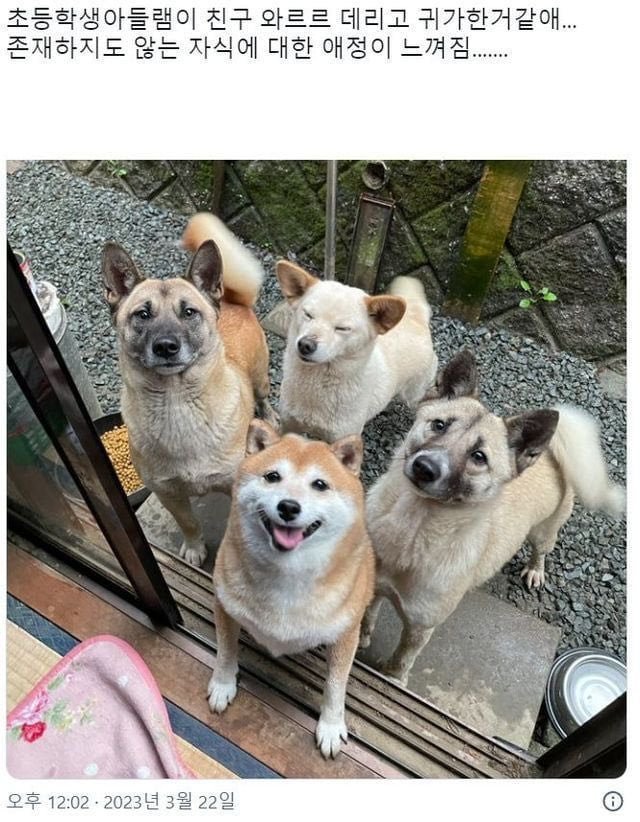 이눔 시키 동네 친구 다 데리고 왔네