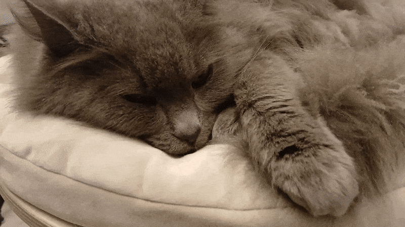 봇치의 리투아니아 여행 10화