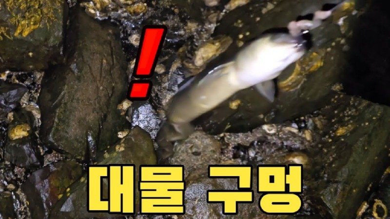 미쳤다!! 대물만 뽑는 구멍치기 달인 #장어