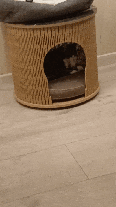 봇치의 리투아니아 여행 10화