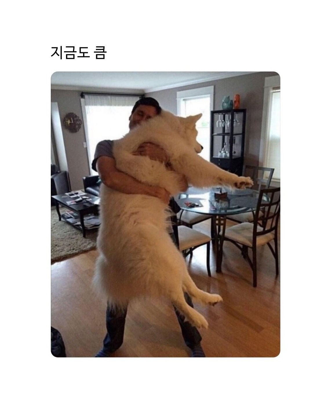 어릴땐 크게만 느껴졌던 내친구