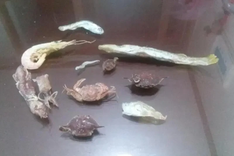 멸치박스 사면 나오는 것들