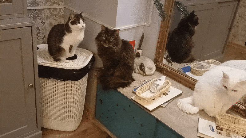 봇치의 리투아니아 여행 11화