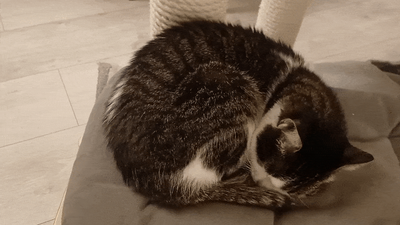 봇치의 리투아니아 여행 10화