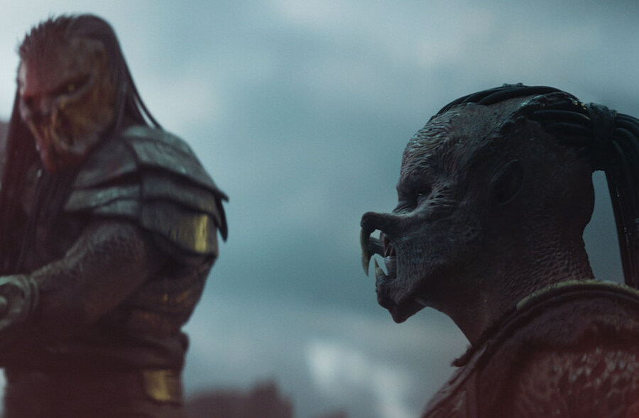 스포 겁나 까인 이번 신작 프레데터 와꾸 특