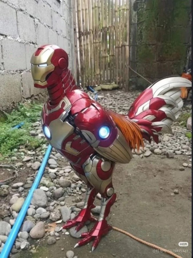 자비스, 치킨집 좀 알려줘.