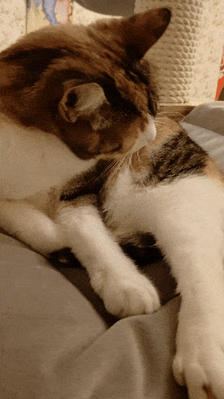 봇치의 리투아니아 여행 8화