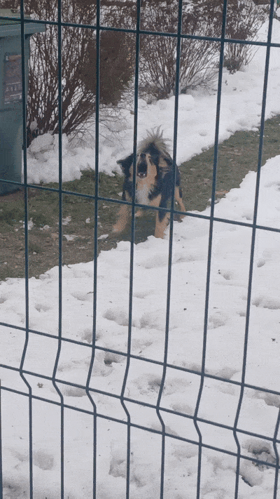 봇치의 리투아니아 여행 11화