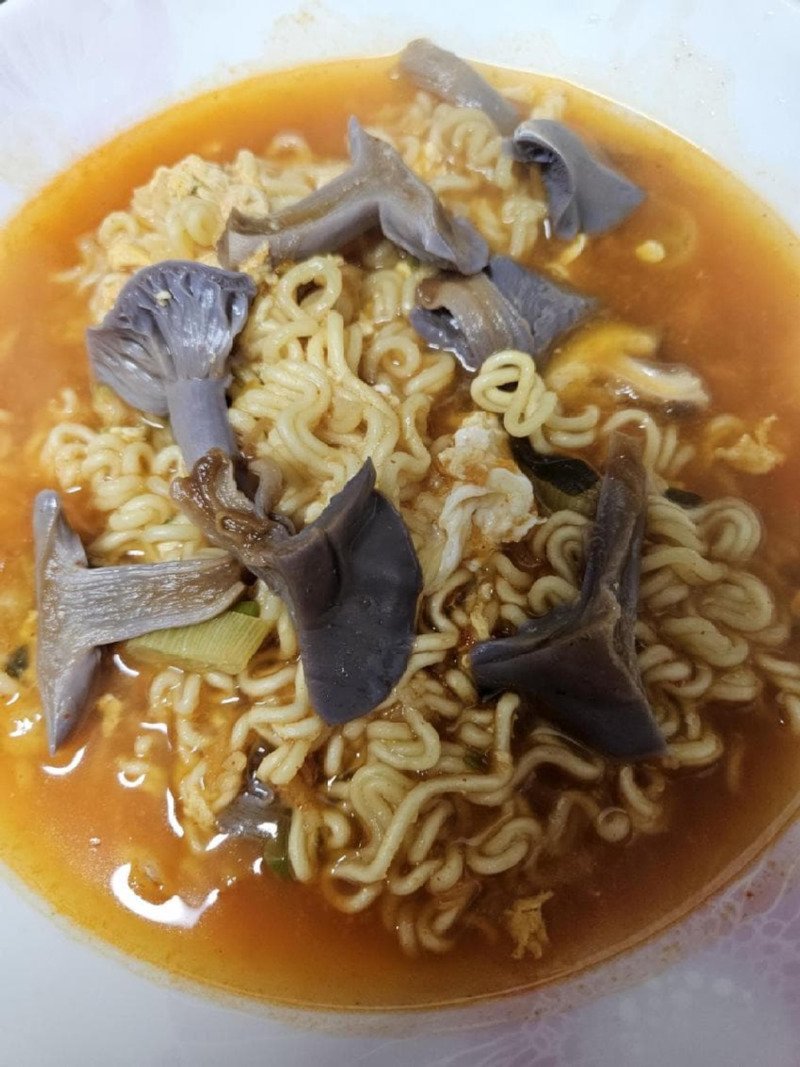 보라색 버섯을 넣고 라면 끓인 사람