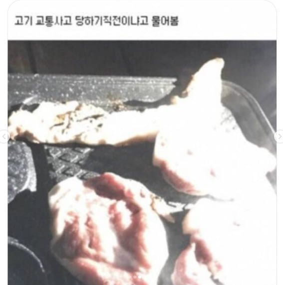 고기사진을받았는데