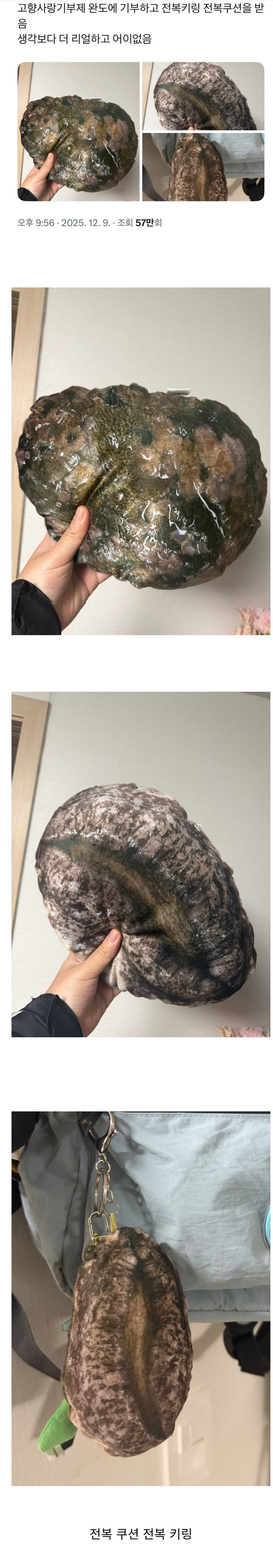 완도에 고향 사랑 기부 하면 받을수 있다는거