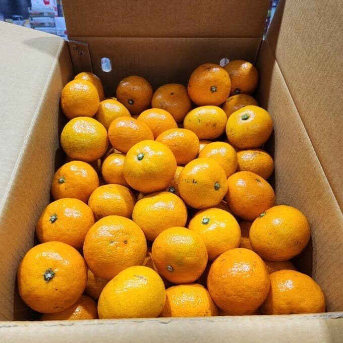 욕을 사서 먹는 방법.jpg