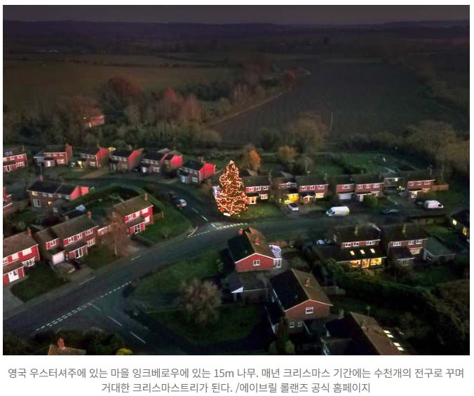 꼬마 나무를 43년 동안 키워 크리스마스 트리로 만든 노부부