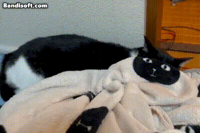 사진을 찍었는 데 합성으로 보임