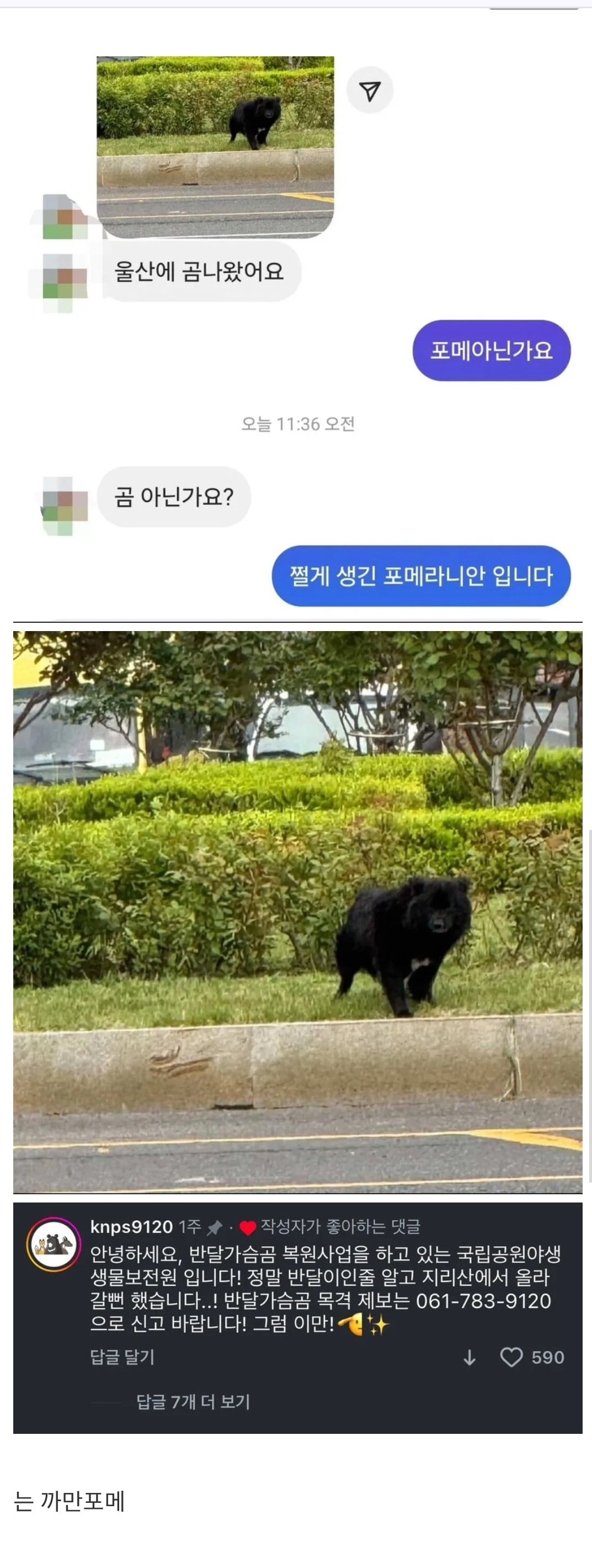 울산에 까지 나타났다는 반달가슴곰
