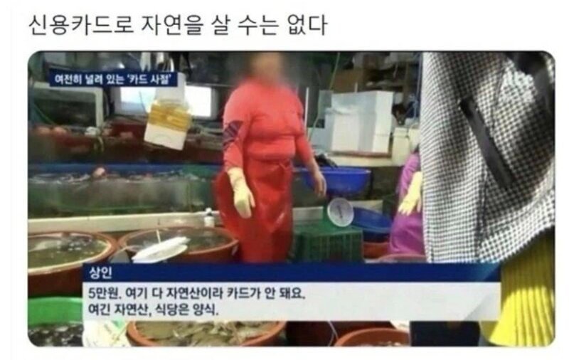 신용카드로 살 수 없는 것