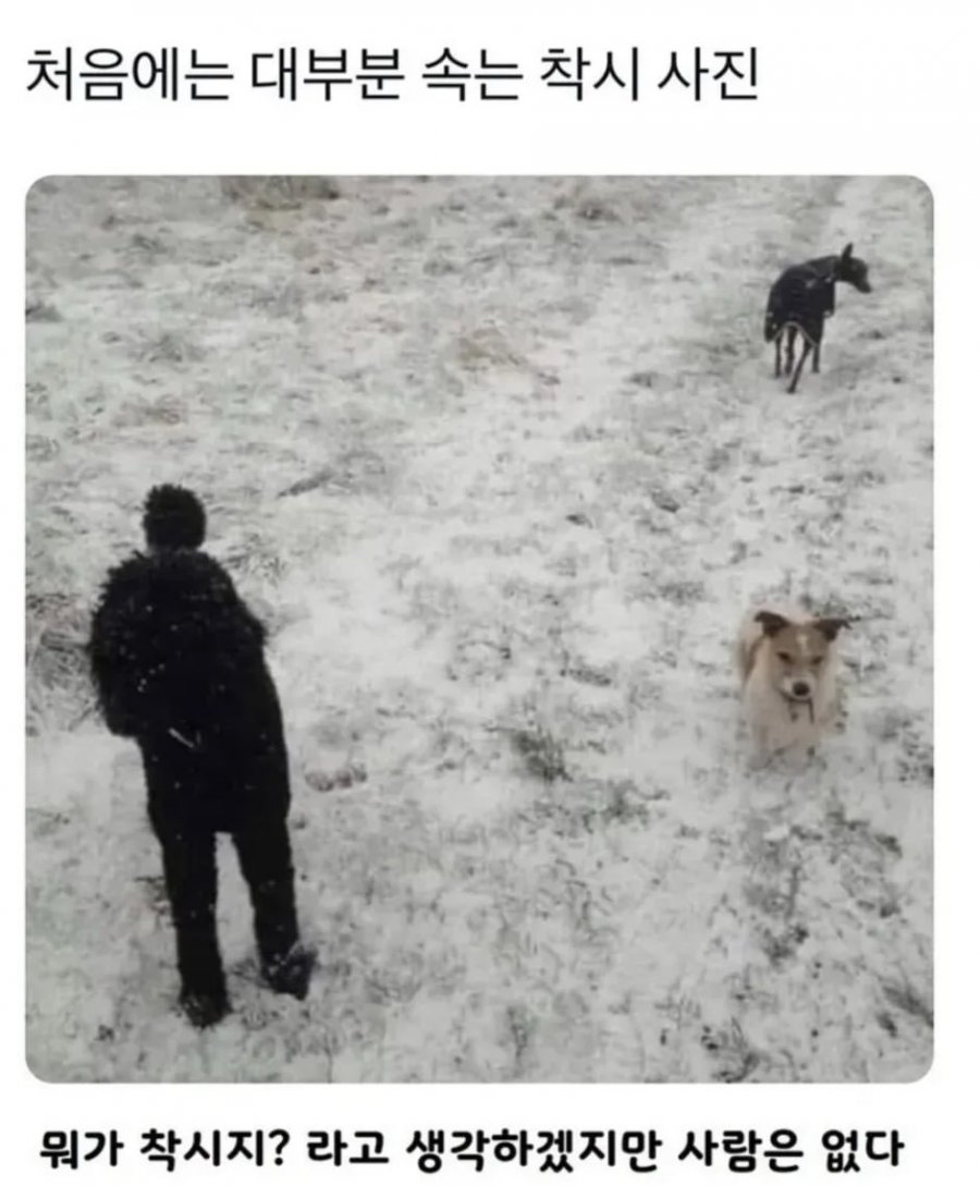 모르면 속는 착시 사진