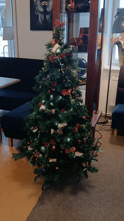 리투아니아 2주 여행 후기