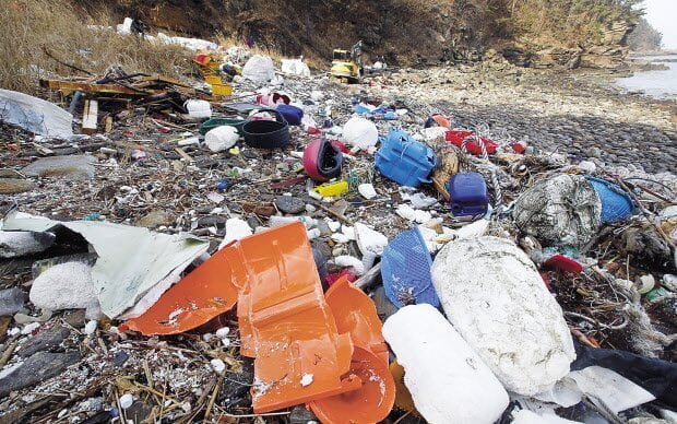 굴 조심해야 하는 이유 ㄷ..jpg
