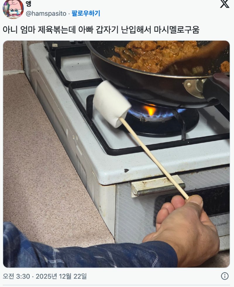 엄마가 제육 볶는데 아빠가 난입해서 마쉬멜로 구음