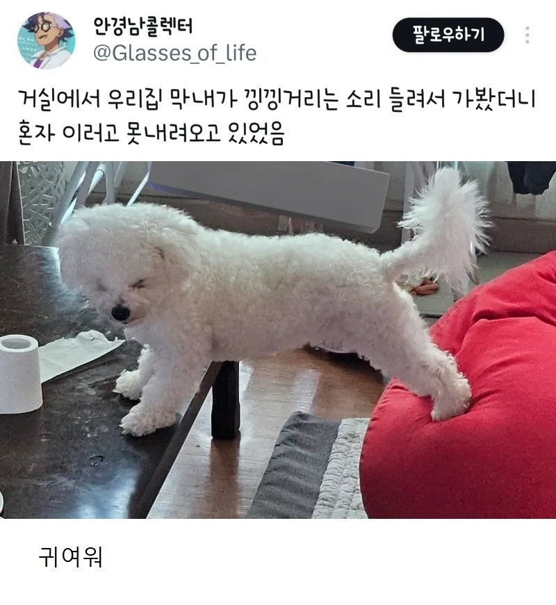 거실에서 낑낑대는 소리가 나서 가봄