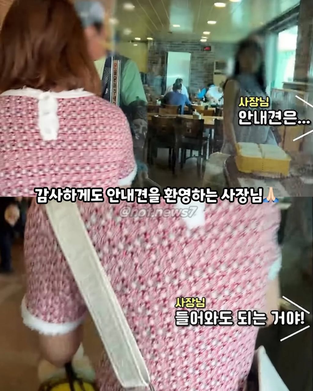 안내견보고 큰소리 내는 식당