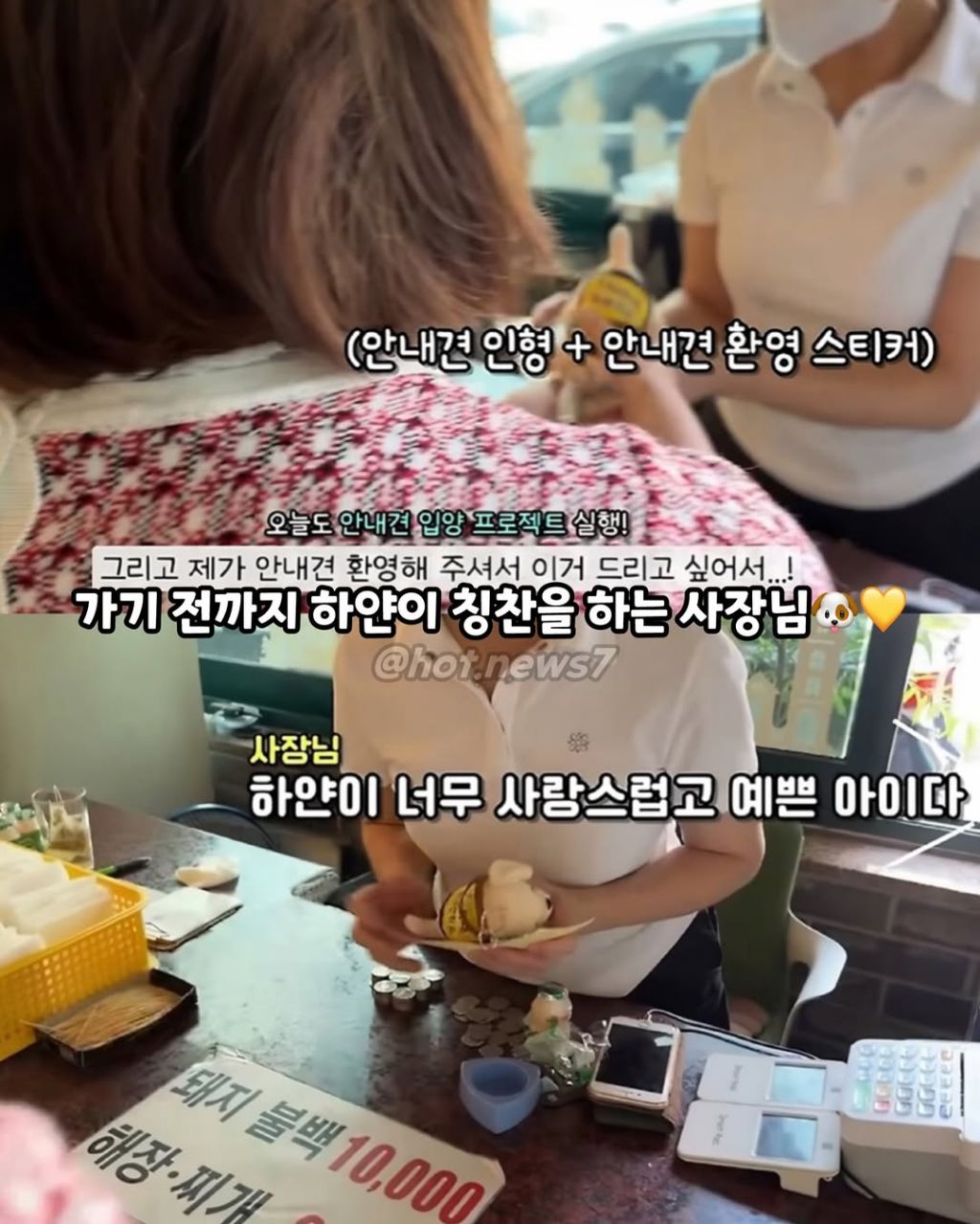 안내견보고 큰소리 내는 식당