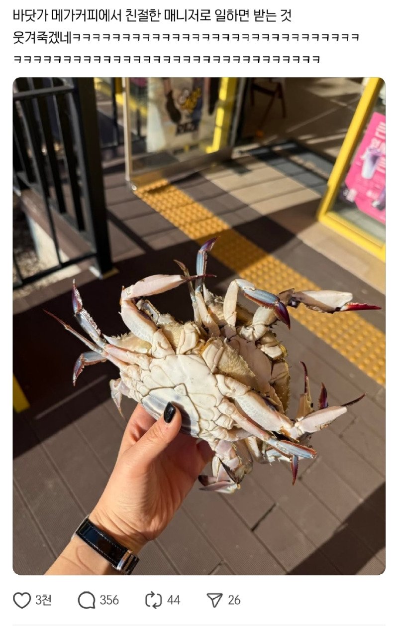 바닷가 메가커피에서 친절한 매니저로 일하면 받는 것