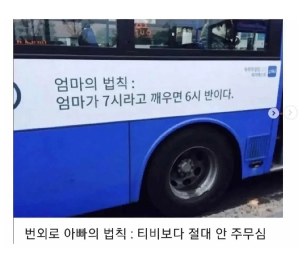 만국 공통 공감가는 엄마의 법칙.jpg