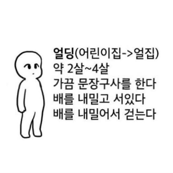 어린이집 애기 처럼 서있는 고양이