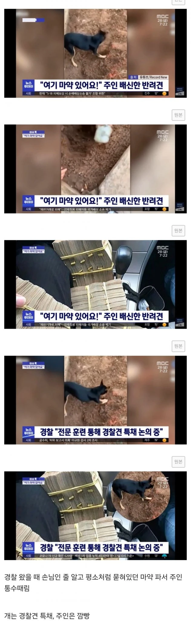 주인을 배신하고 경찰에 넘긴 반려견JPG