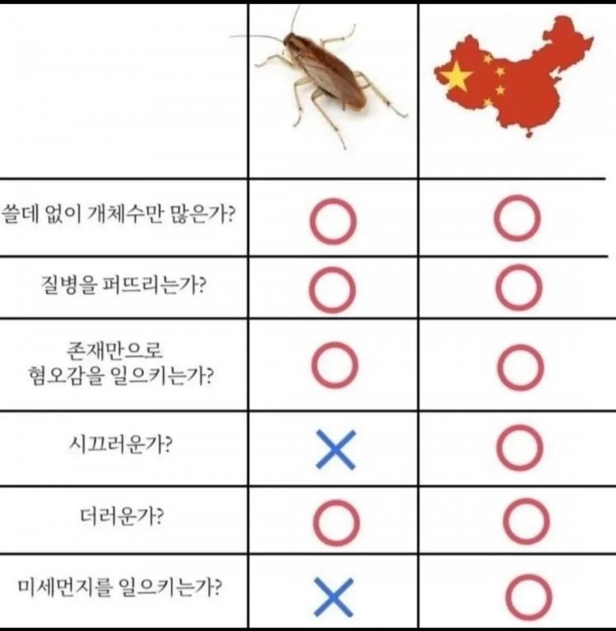 중국과 바퀴벌레 비교.jpg