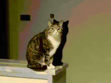 사진을 찍었는 데 합성으로 보임