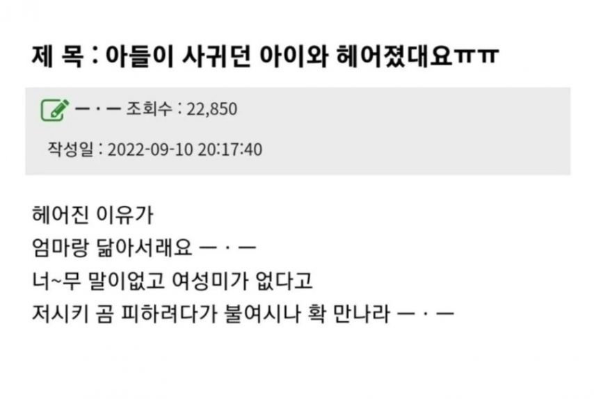 아들이 여친과 헤어진 이유에 화난 엄마.jpg