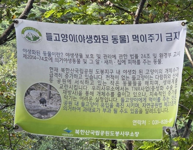 도봉산 근황 feat. 멧돼지와 캣맘