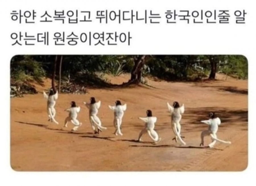 진짜 사람인줄 알았네