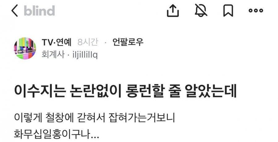 이수지는 논란없이 롱런할 줄 알았다는 회계사
