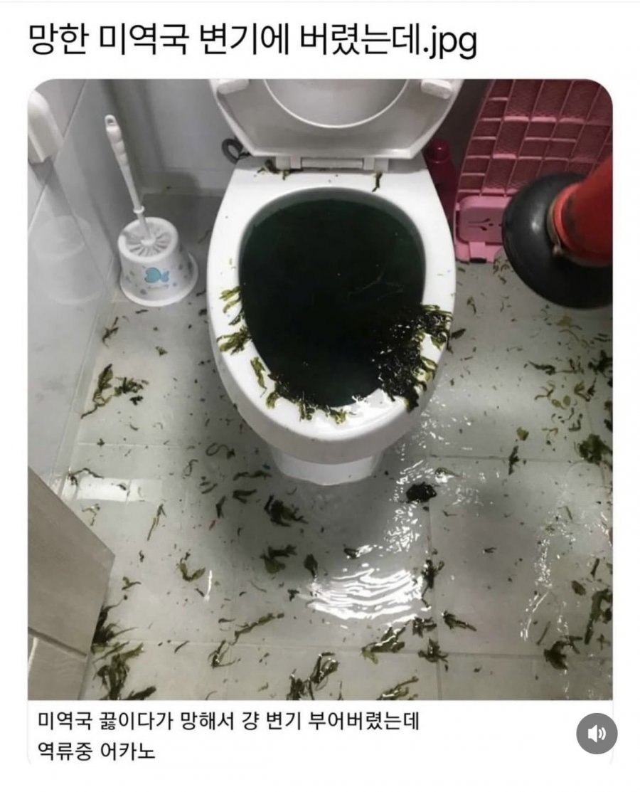 망한 미역국 변기에..jpg