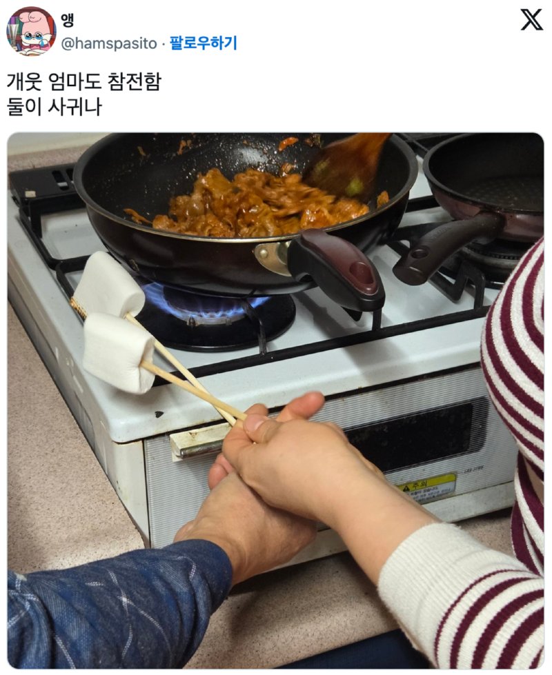 엄마가 제육 볶는데 아빠가 난입해서 마쉬멜로 구음
