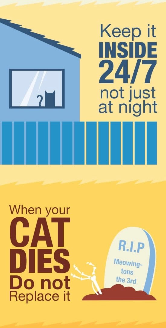 야생 고양이 근절하겠다는 뉴질랜드, 그리고..