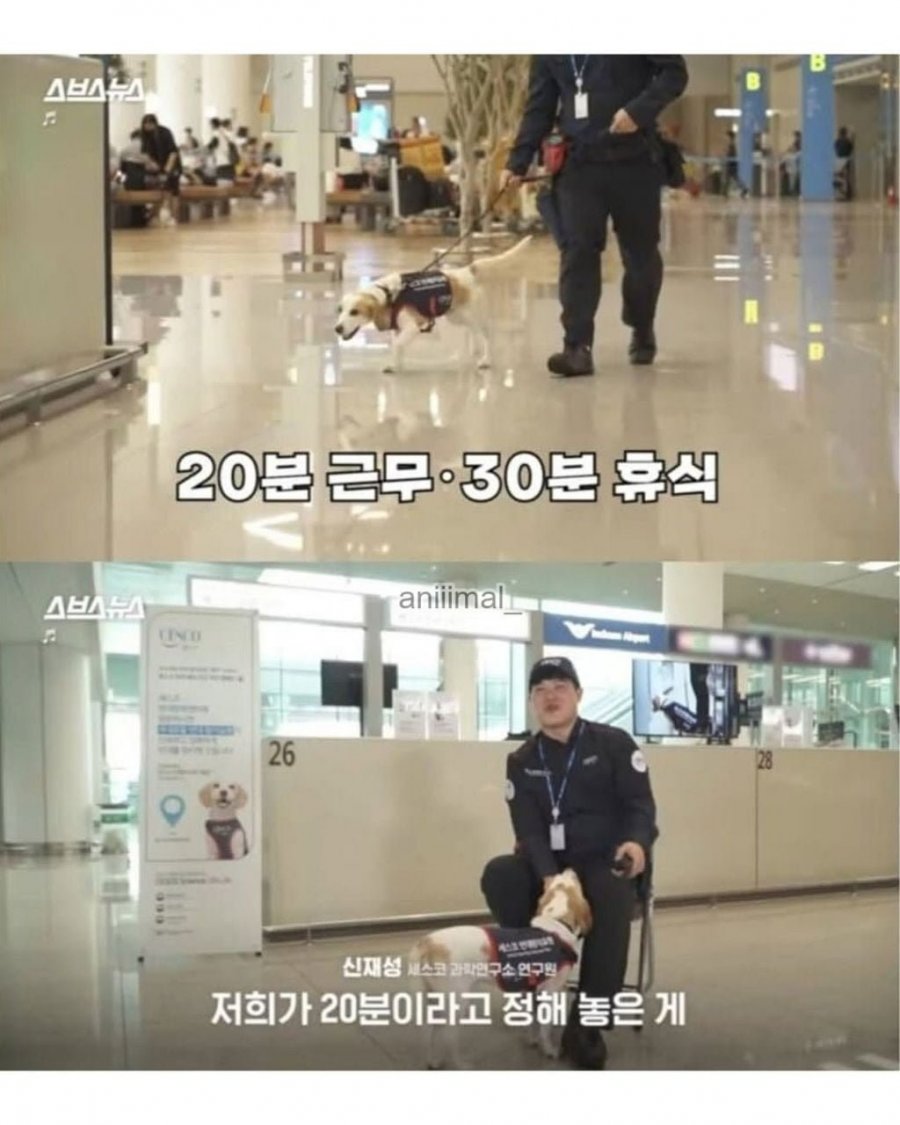 20분 일하고 30분은 쉬려고 한다는 신입사원