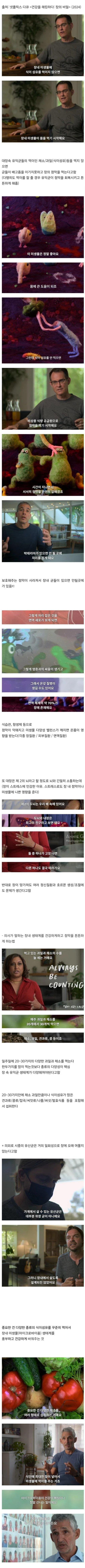 식이섬유를 섭취해야 하는 이유
