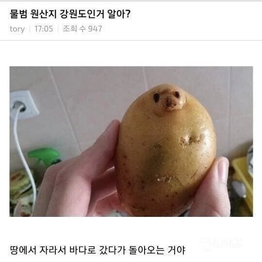 사람들이 잘 모르는 물범의 원산지