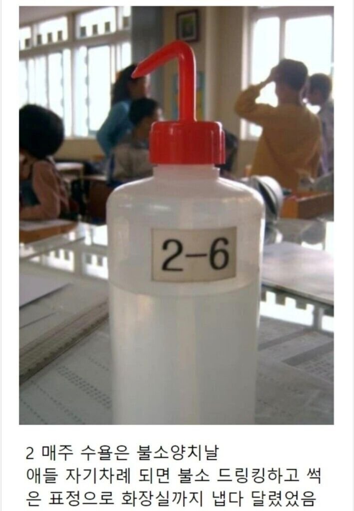 요즘 애들은 모르는.. 국민학교 문화