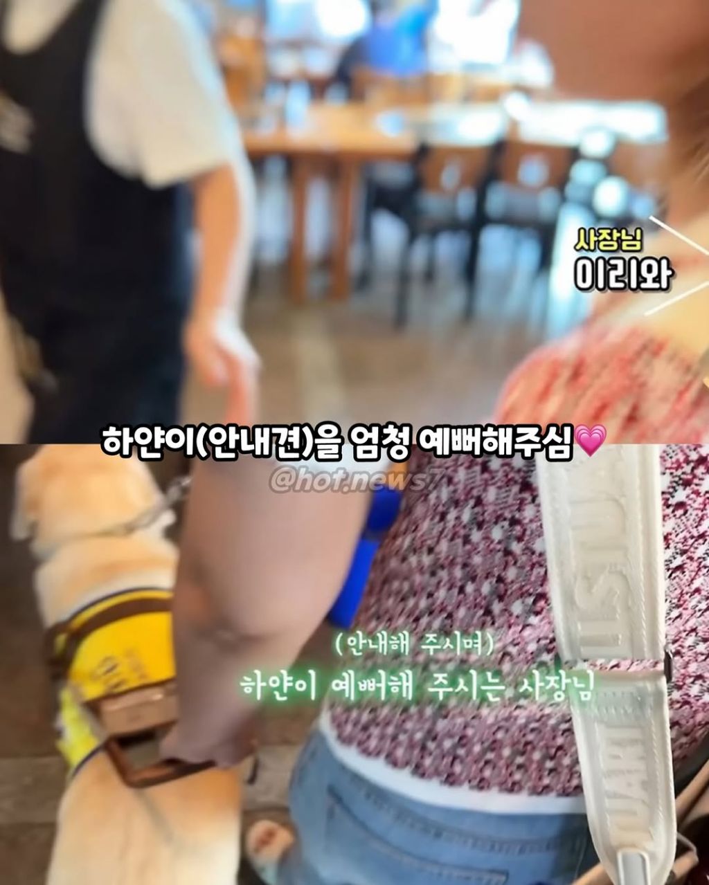 안내견보고 큰소리 내는 식당