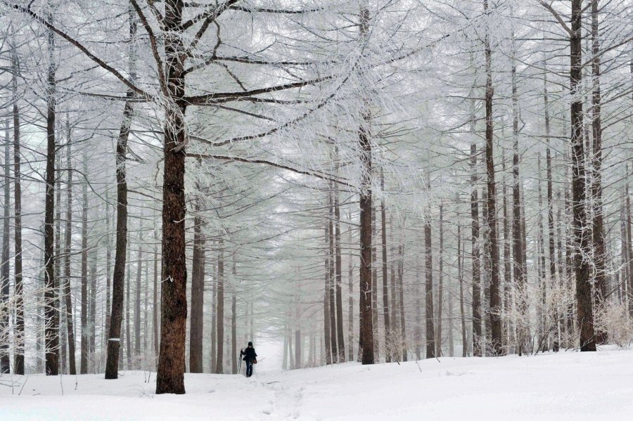 강원도 대표 설경명소 수준
