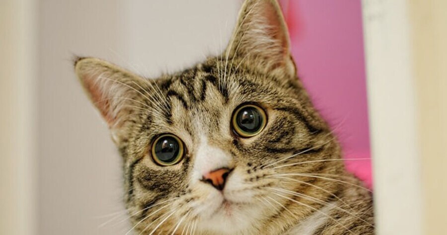 트론 ost 듣다가 본 댓글