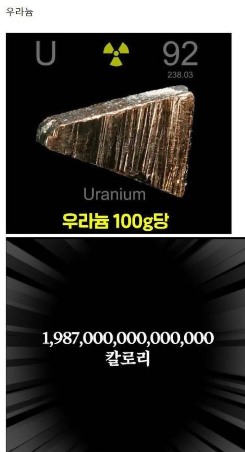 한입만 먹어도 다이어트 망하는 음식